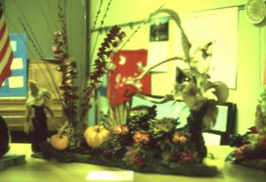 NBHA slides1186